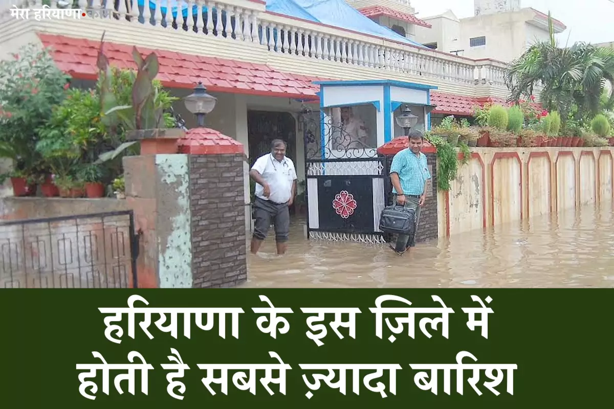 हरियाणा