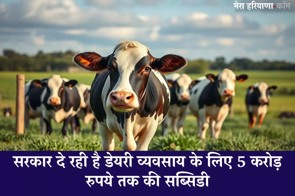 Cow Farming Subsidy