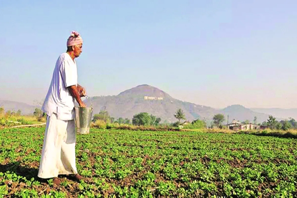 हरियाणा गेहूं के खेत में