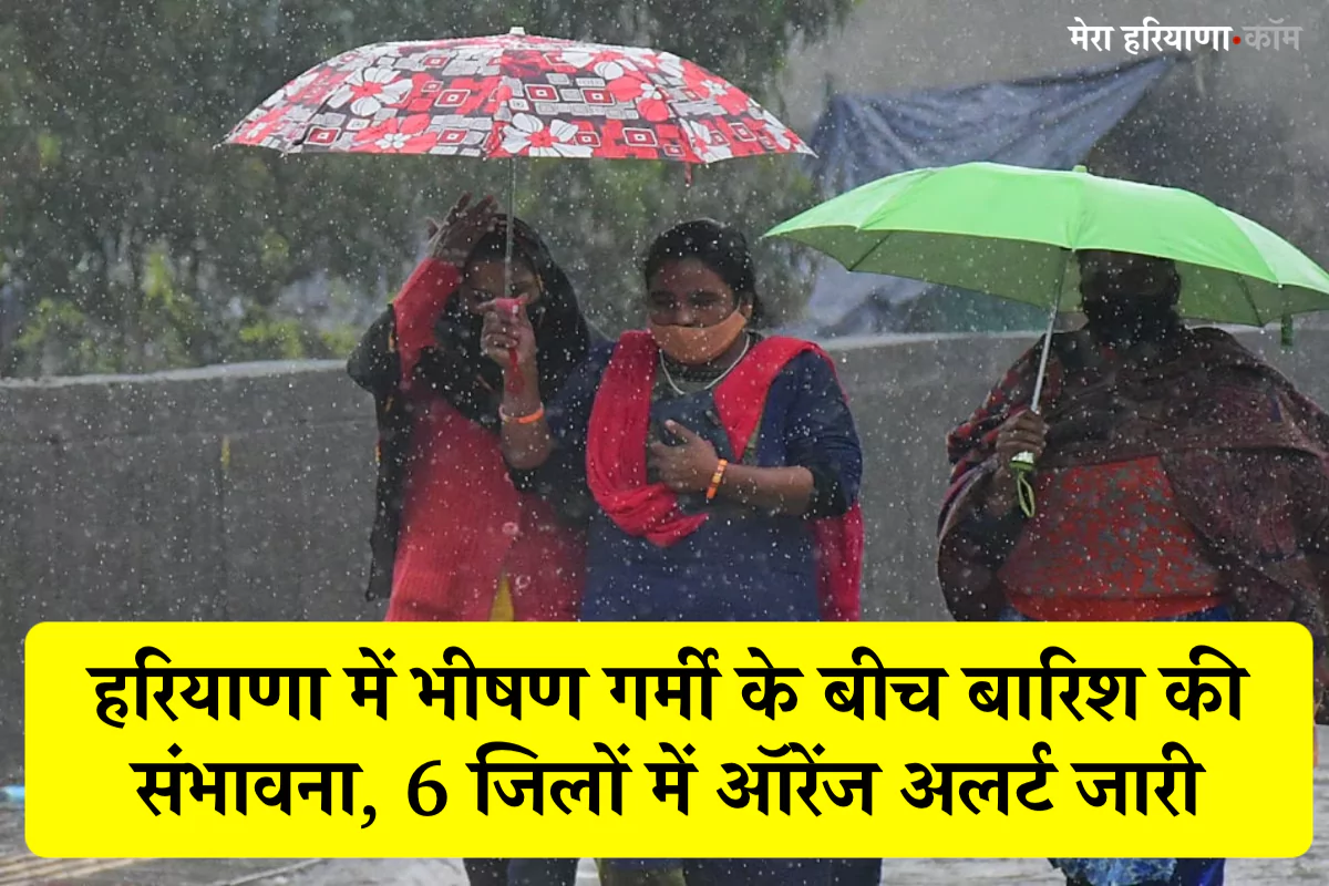 Haryana Weather Alert