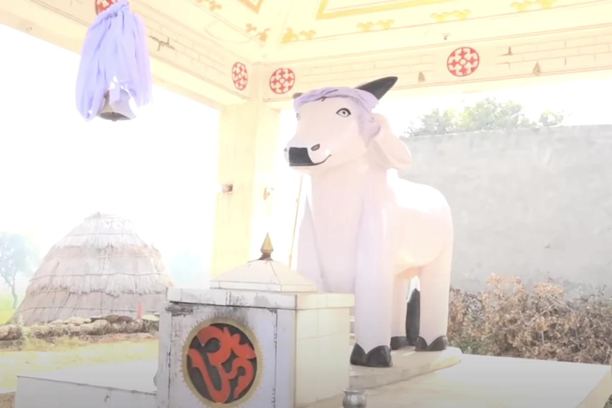 Kandela Kand: 23 साल बाद शहीद किसान राजेश शर्मा को मिलेगा सम्मान, कंडेला में बनेगी प्रतिमा | जानिए क्या था कंडेला कांड 2 जींद के कंडेला गांव में लोग सांड की पूजा करते हैं। सांड ने आंदोलन के दौरान पुलिस कर्मचारियों को खदेड़ा था।