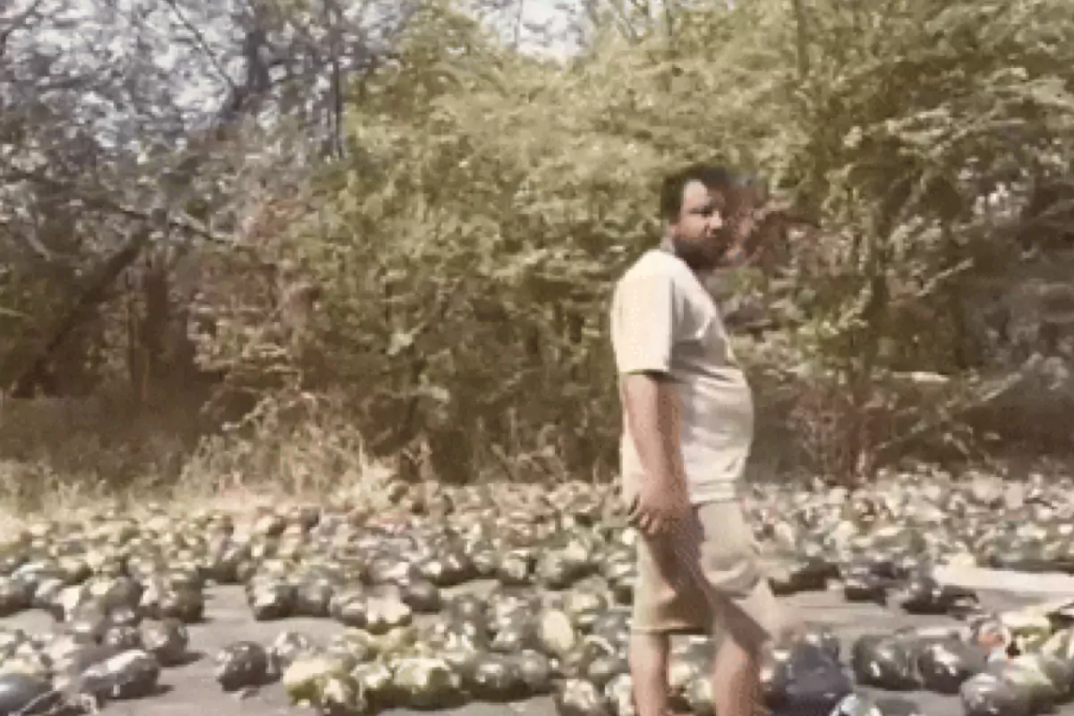 सिरसा-डबवाली रोड पर हादसा: ट्रक पलटते ही हाईवे पर बिखरे तरबूज, लोगों की लगी भीड़, वीडियो वायरल