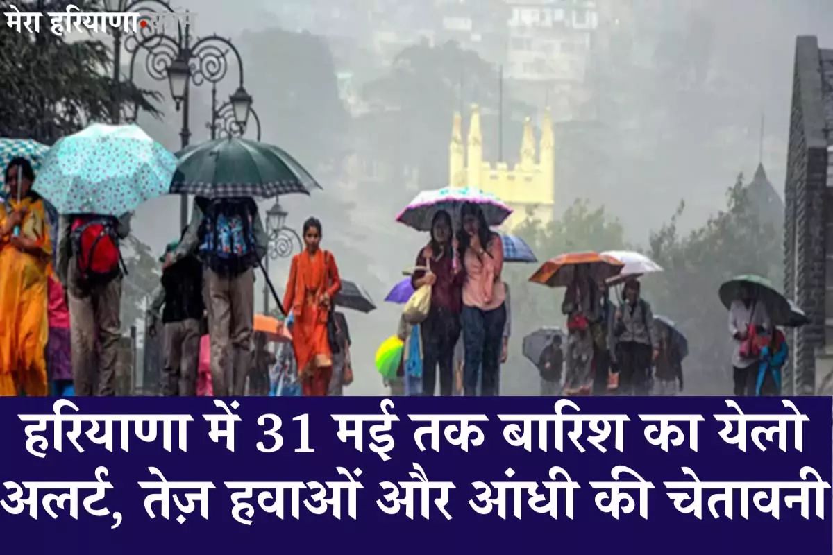Haryana Weather Alert