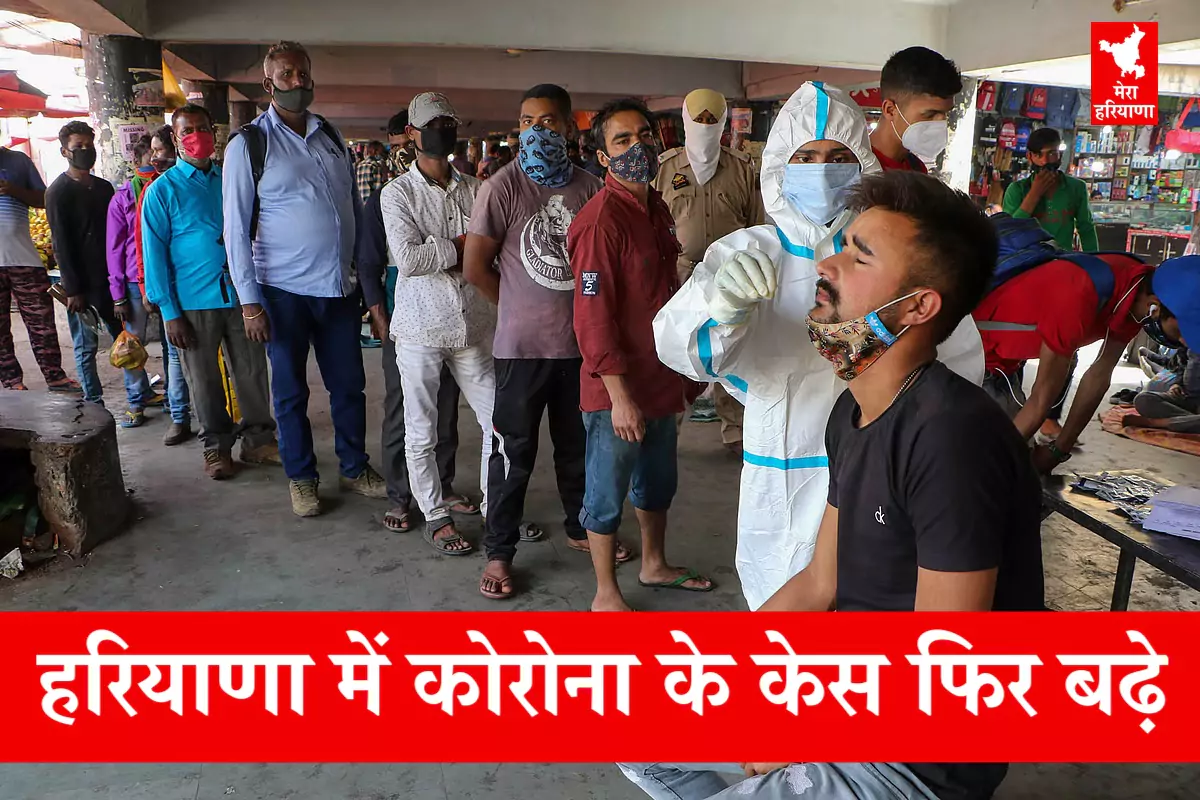 Haryana Corona Cases