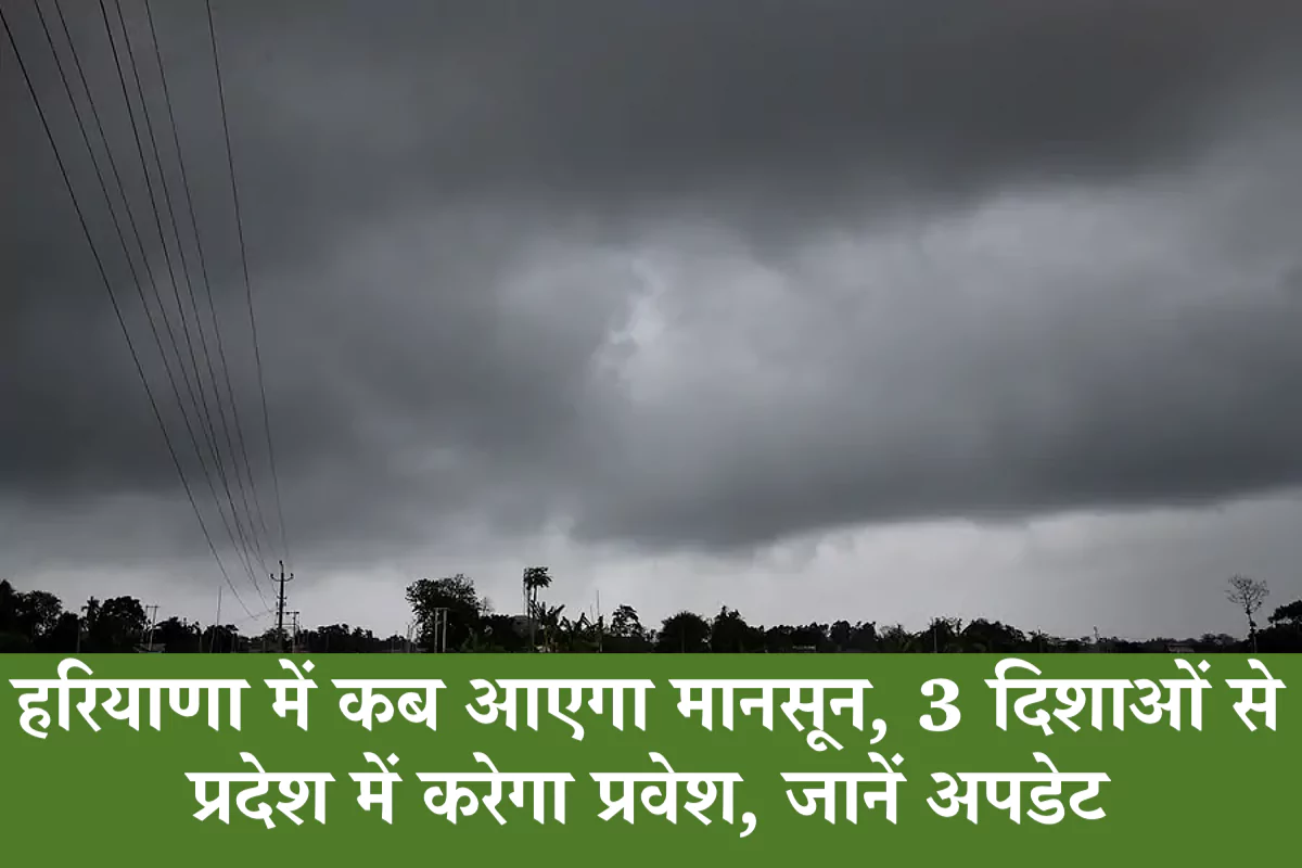 Haryana Monsoon Update