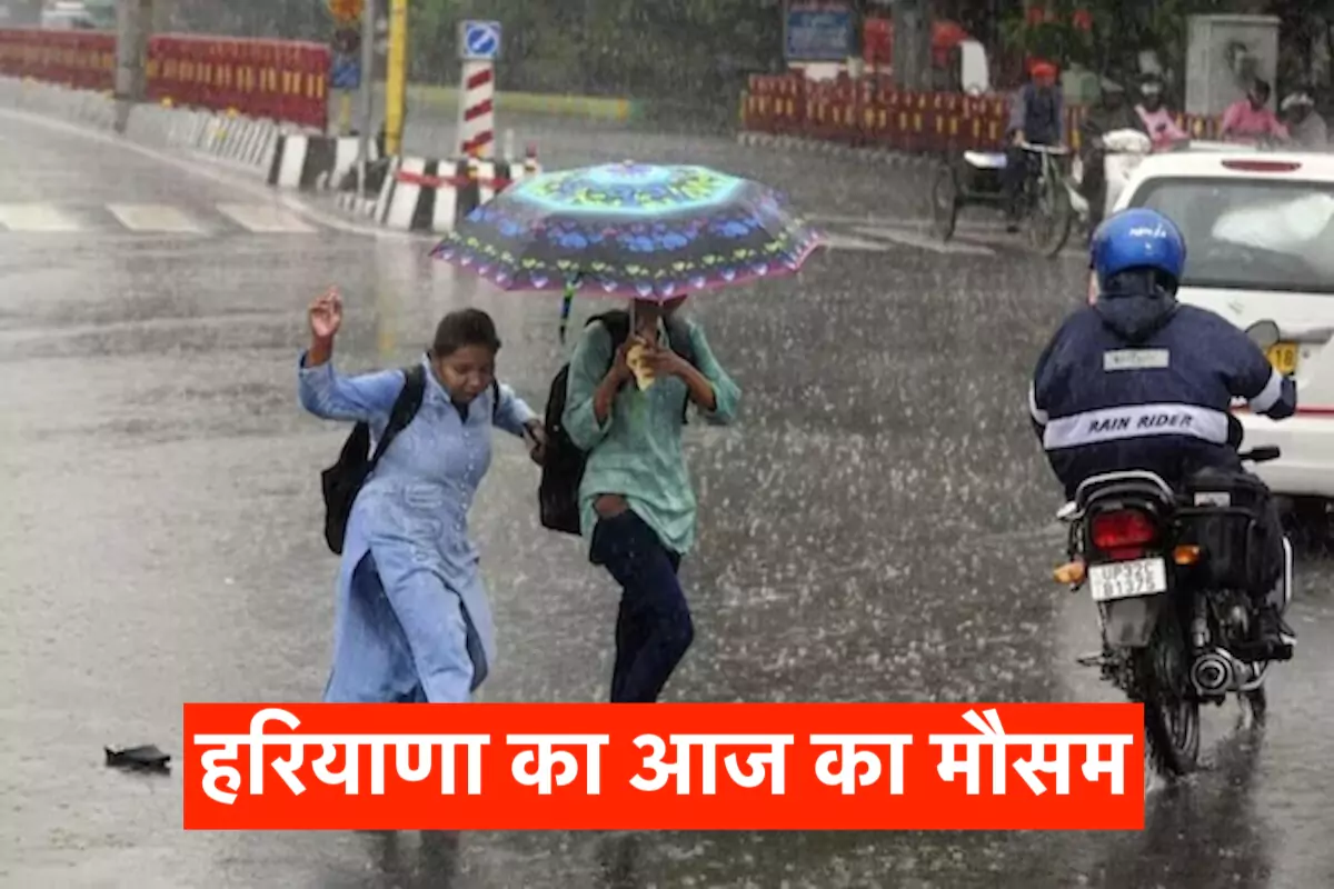 Haryana Weather Today, हरियाणा मौसम