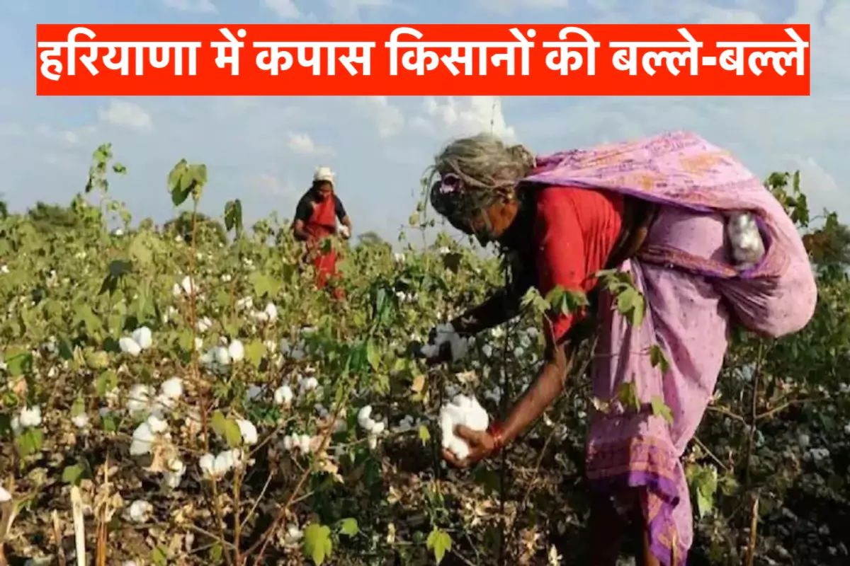 हरियाणा