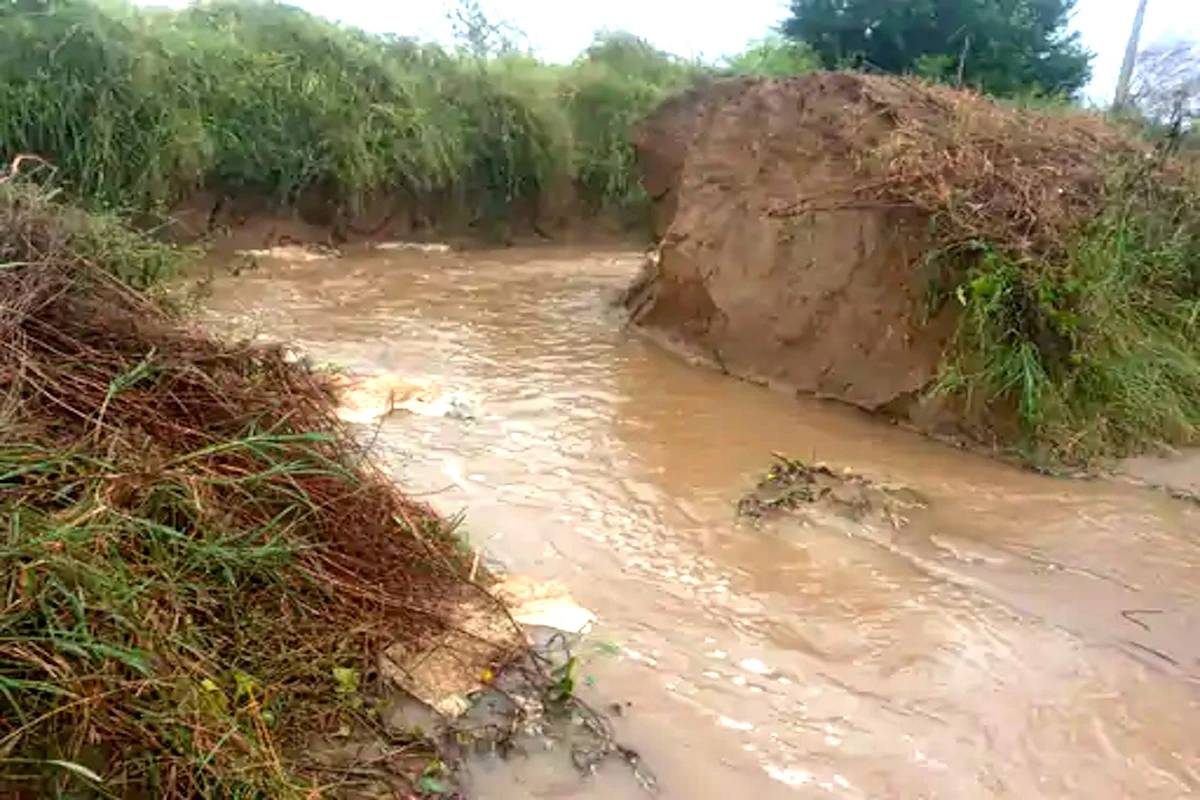 सिरसा में पश्चिमी विक्षोभ का असर: नहर टूटी, सैकड़ों एकड़ फसलें जलमग्न, किसानों की बढ़ी चिंता