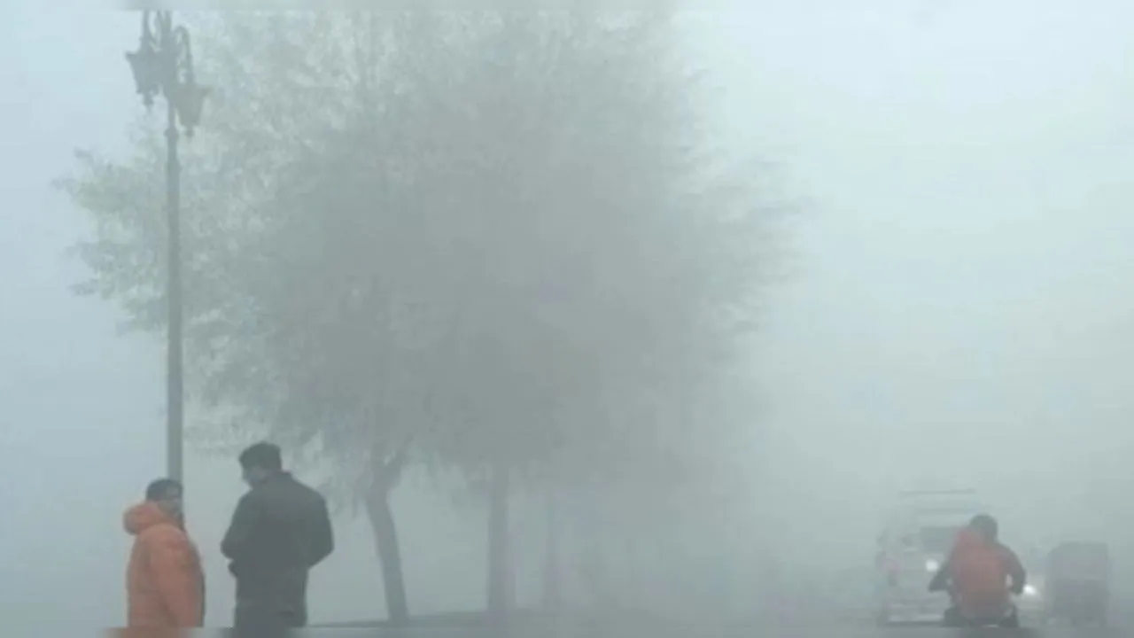 हरियाणा मौसम, घना कोहरा, सर्दी, यातायात अलर्ट, मौसम विभाग, दृश्यता शून्य, सोनीपत, ठंड, हरियाणा समाचार