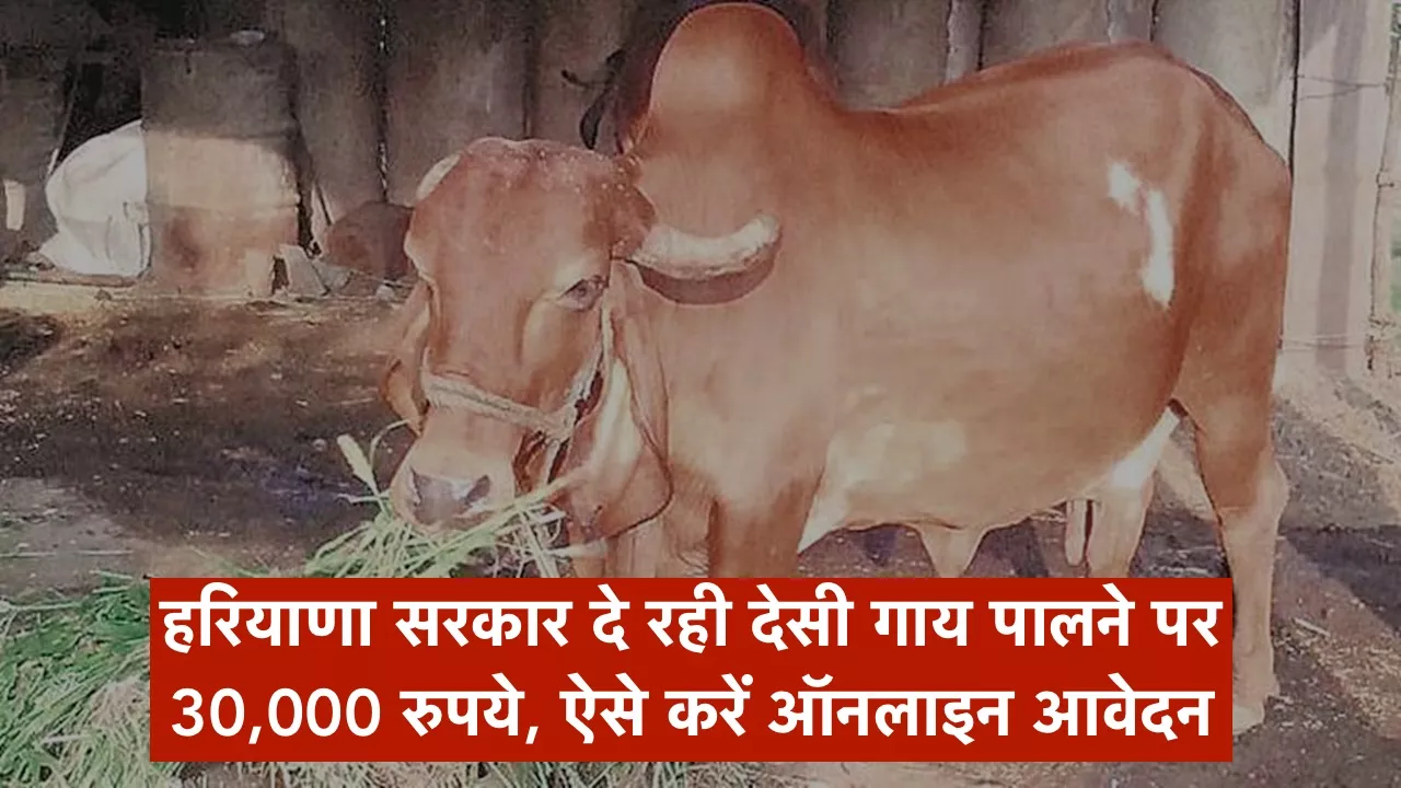 हरियाणा सरकार