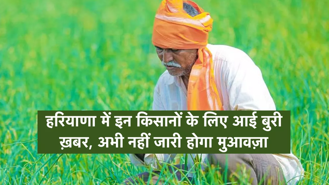 हरियाणा