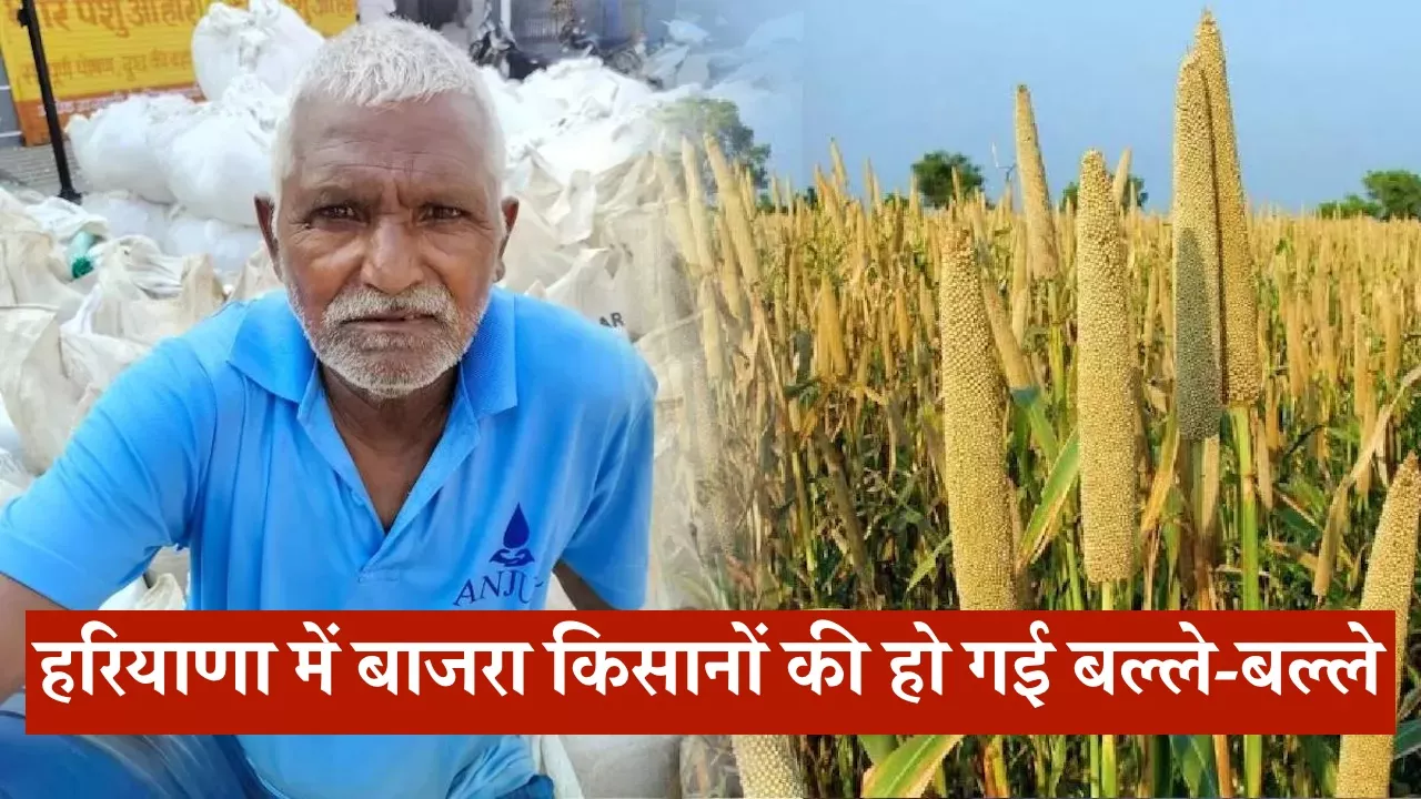 हरियाणा