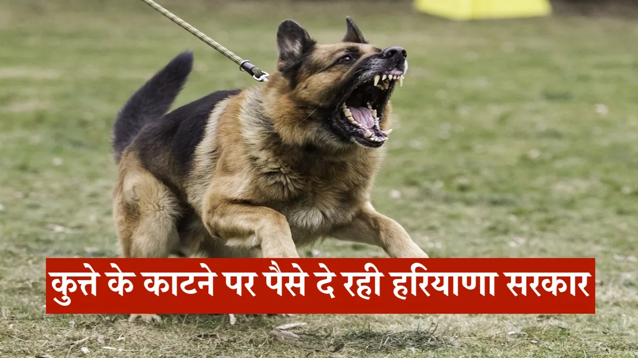 हरियाणा