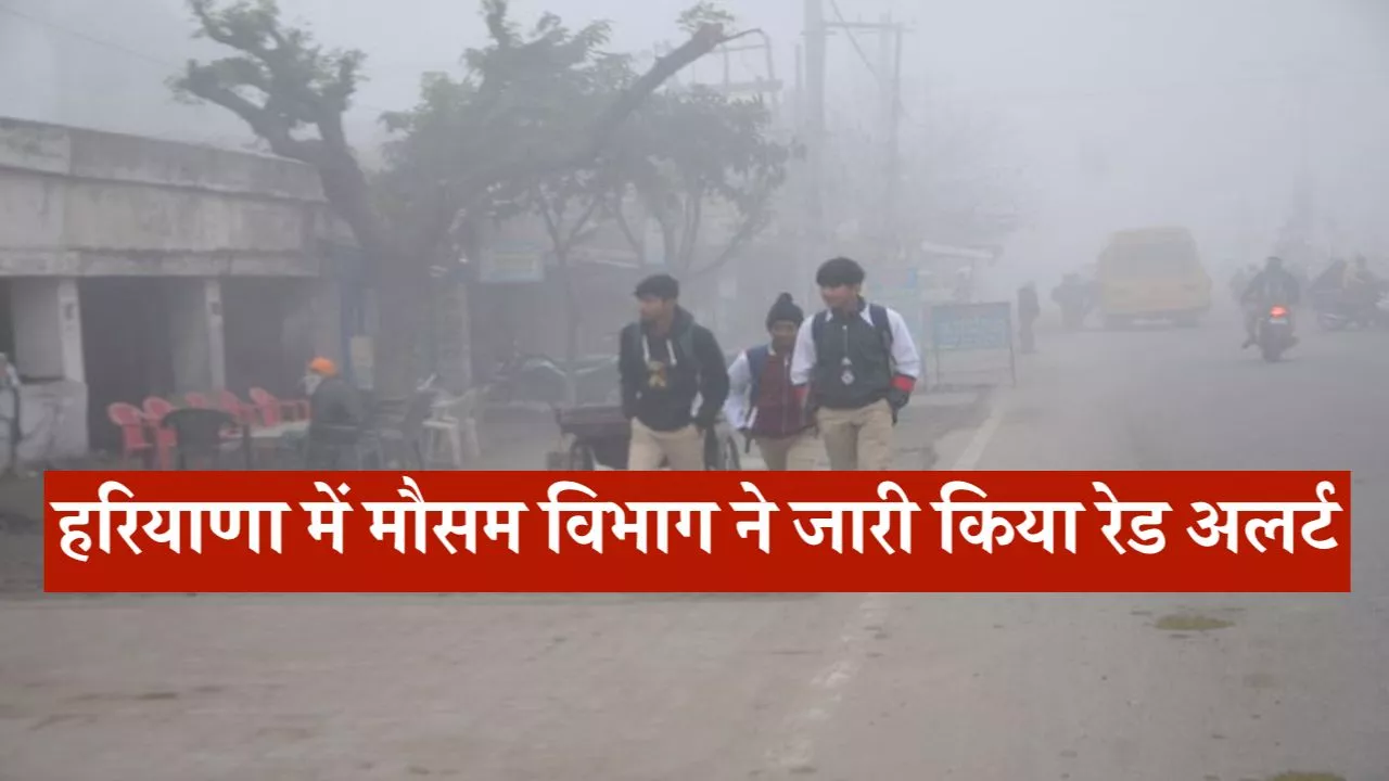 Haryana Weather Alert: हरियाणा में मौसम विभाग ने जारी किया रेड अलर्ट, किसानों के लिए एडवाइजरीHaryana Weather Alert: हरियाणा में मौसम विभाग ने जारी किया रेड अलर्ट, किसानों के लिए एडवाइजरी
