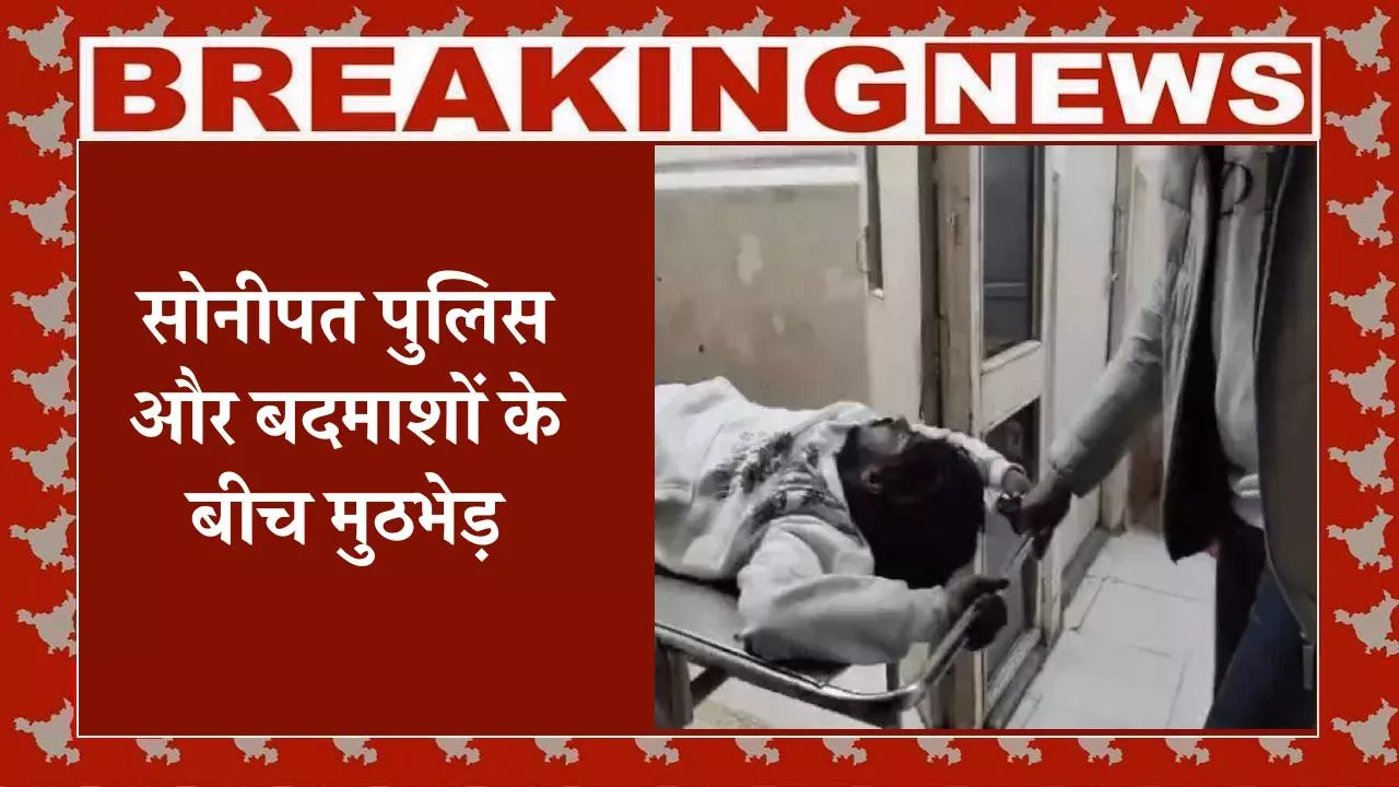 हरियाणा