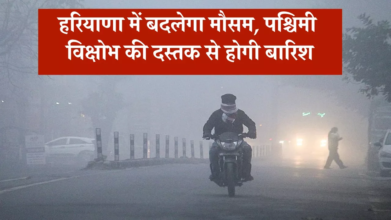 हरियाणा में बदलेगा मौसम, पश्चिमी विक्षोभ की दस्तक से होगी बारिश, घना कोहरा और शीतलहर को लेकर यलो अलर्ट जारी