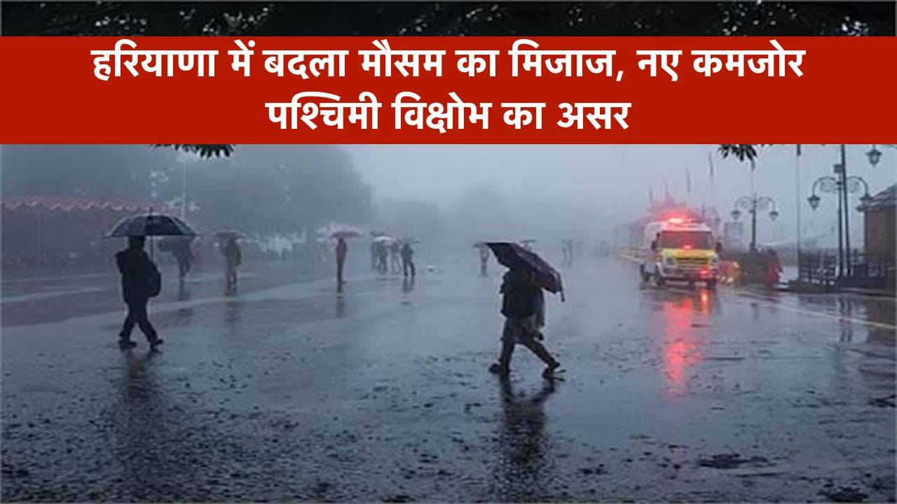 हरियाणा में बदला मौसम का मिजाज, नए कमजोर पश्चिमी विक्षोभ का असर, दक्षिणी जिलों में हल्की बूंदाबांदी के आसार