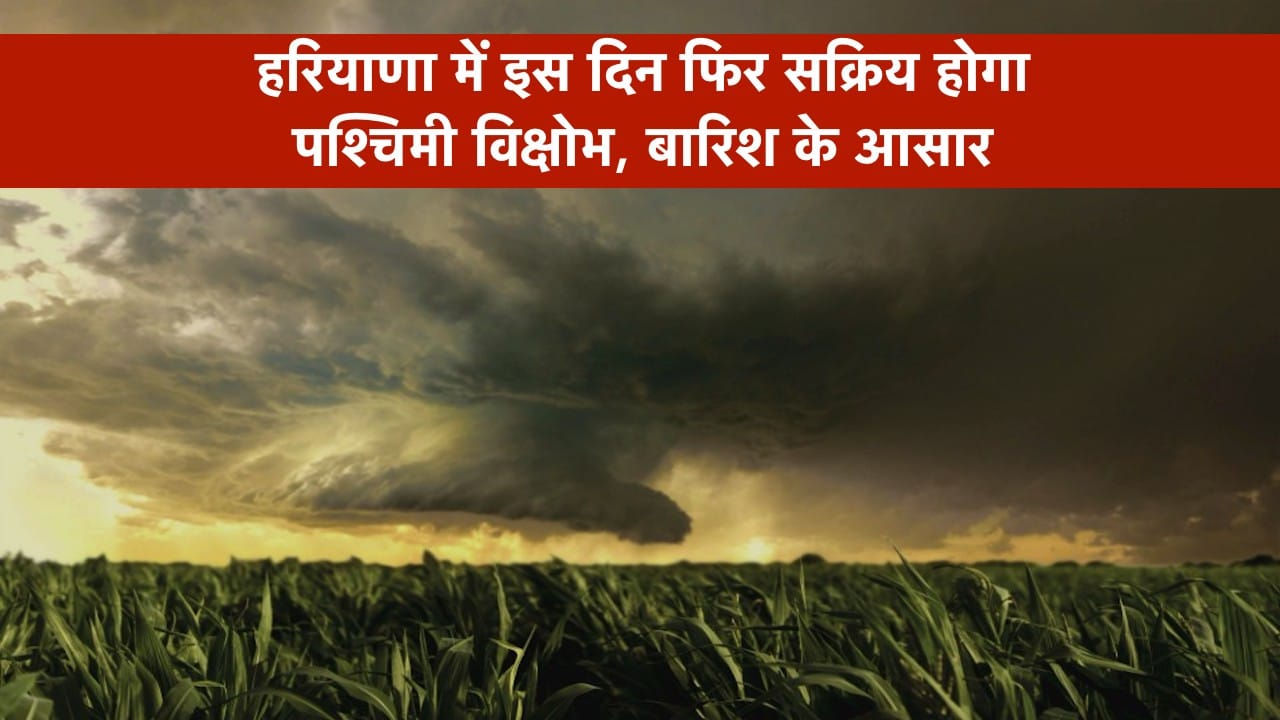 Haryana Weather Update: हरियाणा में इस दिन फिर सक्रिय होगा पश्चिमी विक्षोभ, जानें एक सप्ताह का पूरा मौसम अपडेट