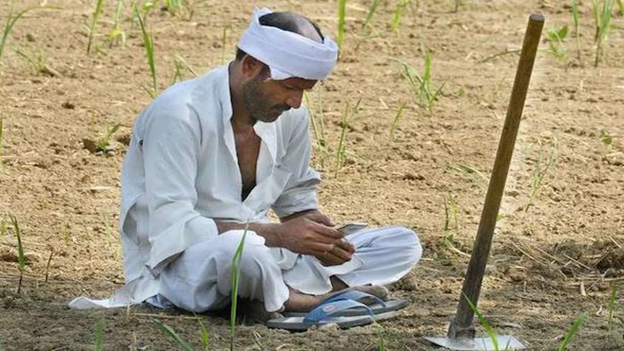 फसल बीमा