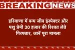 हरियाणा में वन्य जीव इंस्पेक्टर और पशु प्रेमी 30 हजार की रिश्वत लेते गिरफ्तार, जानें पूरा मामला