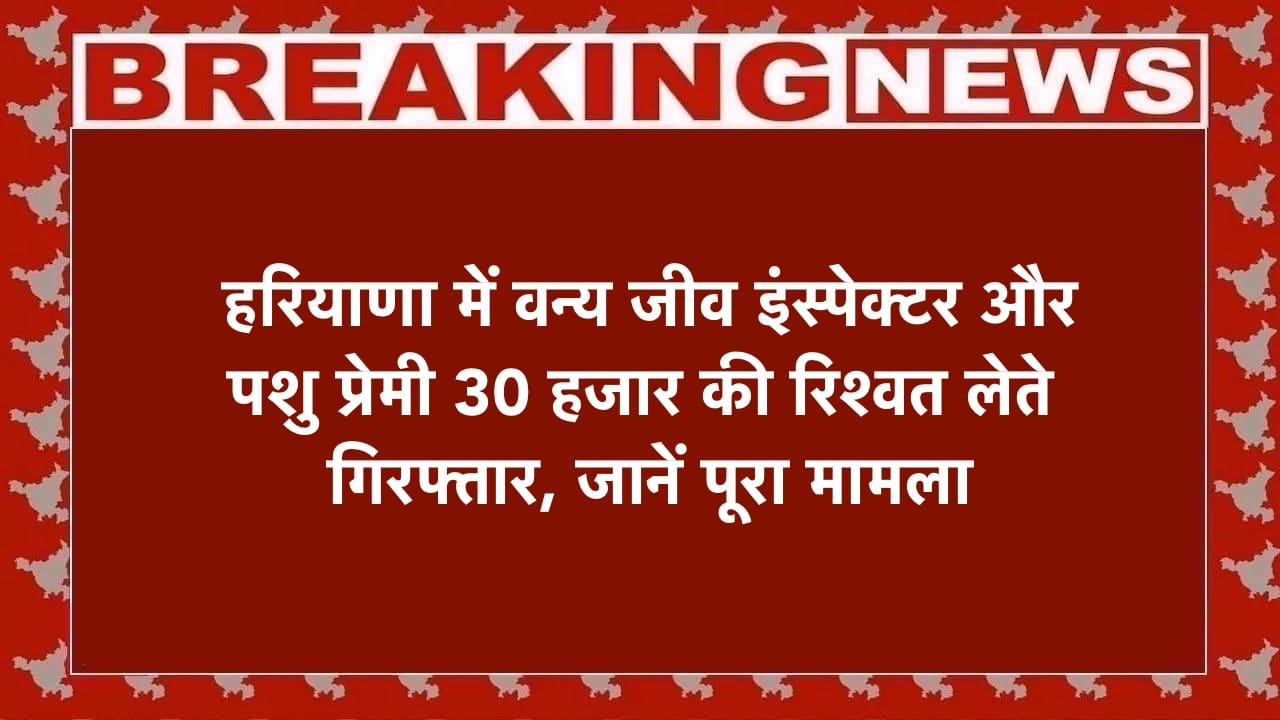 हरियाणा में वन्य जीव इंस्पेक्टर और पशु प्रेमी 30 हजार की रिश्वत लेते गिरफ्तार, जानें पूरा मामला