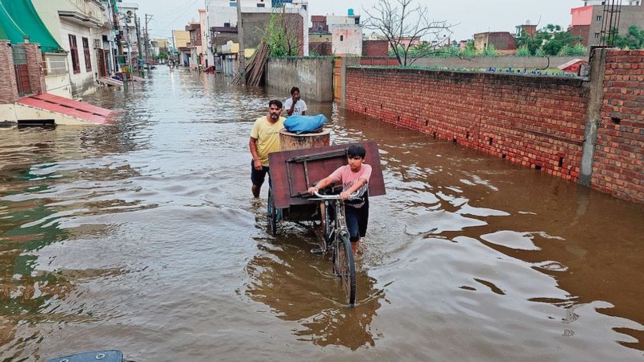 हरियाणा