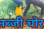 haryana news shopkeepers in kurukshetra nab vegetable thief give him a severe thrashing 696x354.webp