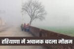 haryana weather 2026 03 08t101858.341