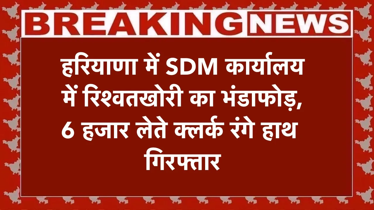 हरियाणा में SDM कार्यालय में रिश्वतखोरी का भंडाफोड़, 6 हजार लेते क्लर्क रंगे हाथ गिरफ्तार