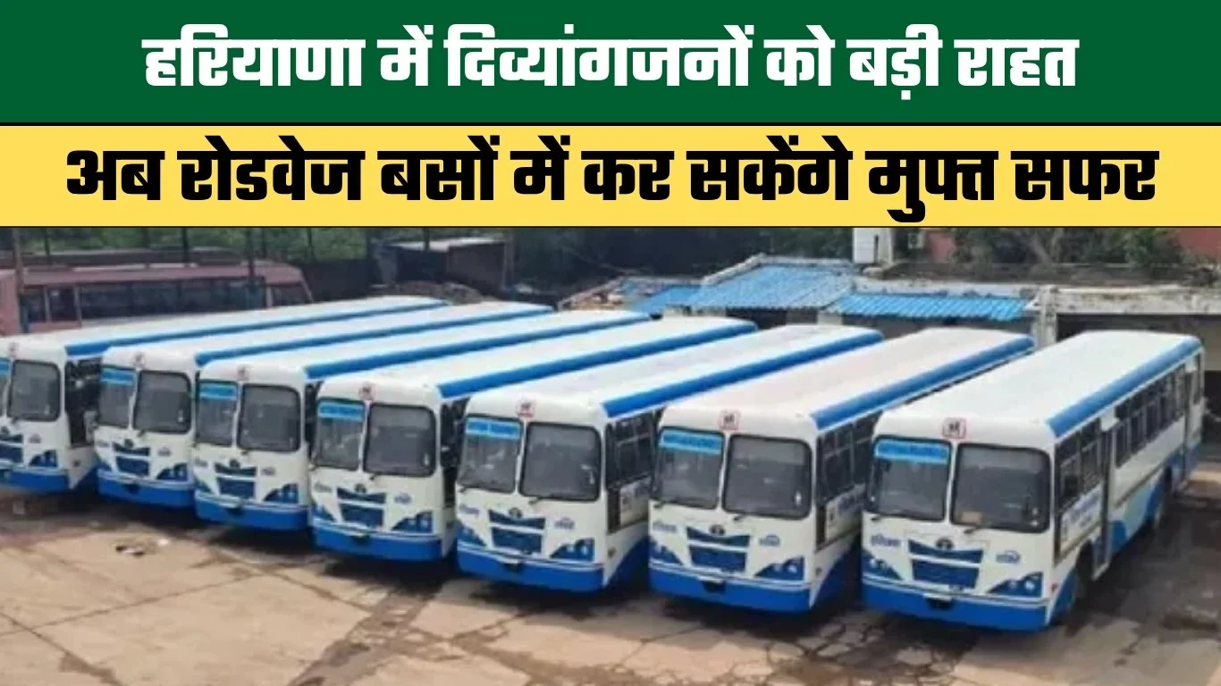 Major Relief for Persons with Disabilities in Haryana