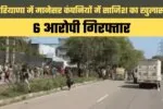 haryana news 29