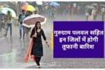 haryana weather news