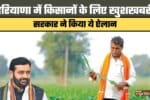 haryana wheat msp