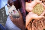 Haryana Ration