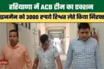 In Haryana an ACB team arrested a lineman for accepting a bribe of ₹3000