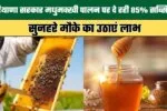 The Haryana Government is providing an 85 subsidy on beekeeping