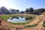 haryana Johad