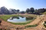 haryana Johad