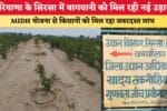 हरियाणा के सिरसा में बागवानी को मिल रही नई उड़ान 86830