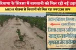 हरियाणा के सिरसा में बागवानी को मिल रही नई उड़ान 86830