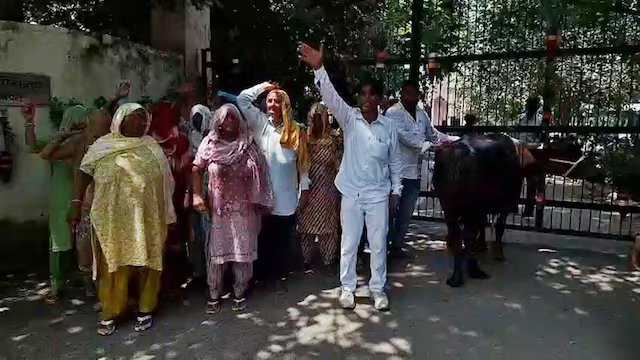 Mera Haryana 38 onipayt 2026 08 5b5ff97194755d8514ad446509a7fed1