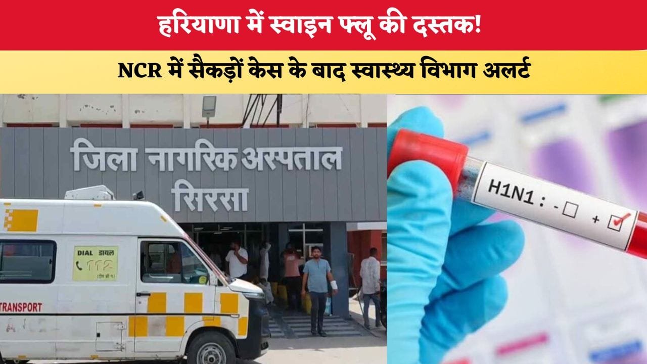 Mera Haryana 49 हरियाणा में स्वाइन फ्लू की दस्तक 88068