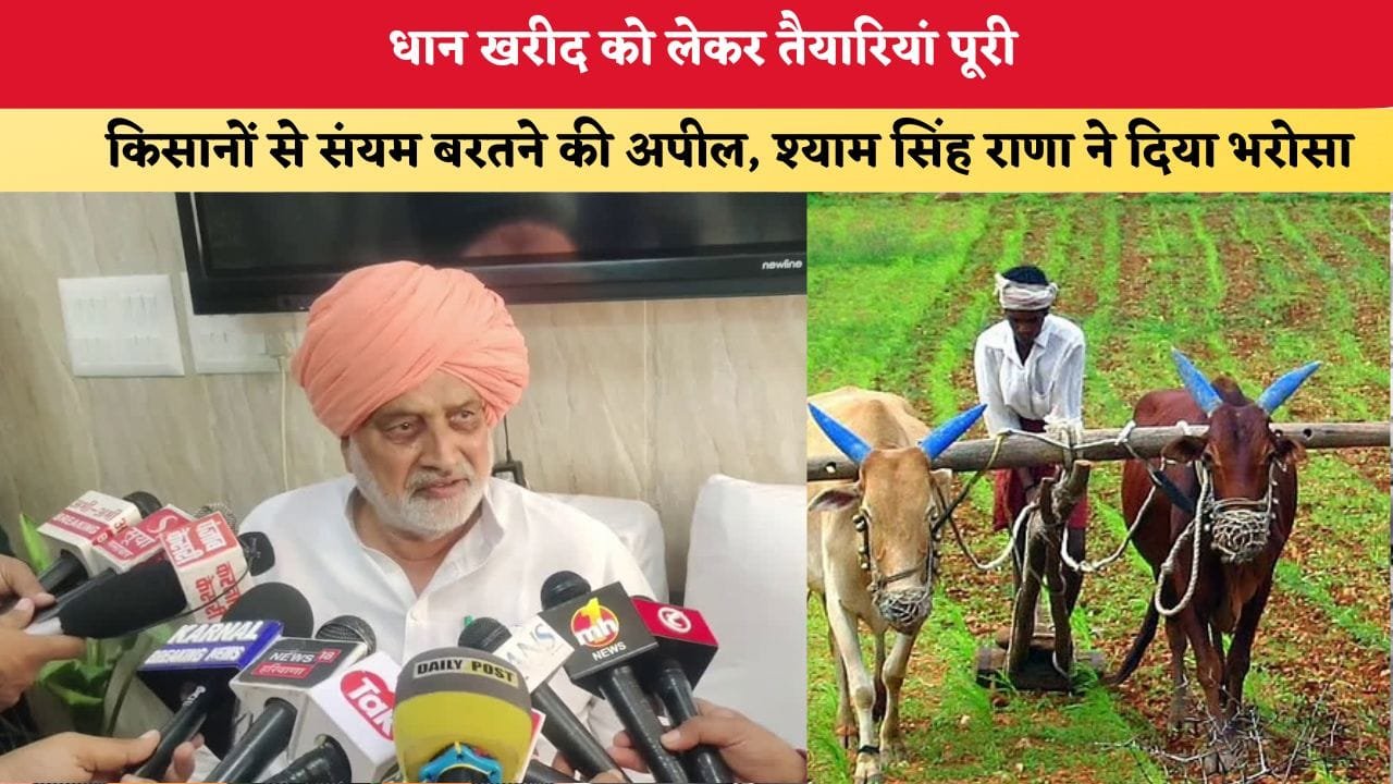 Mera Haryana 51 1790200577 धान खरीद को लेकर तैयारियां पूरी 4137