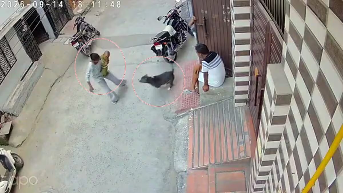 Mera Haryana 20 sonipat Pitbull attack 2026 09 3ca55e976fe76f81bc56326ef19f57da