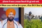 हरियाणा में बाजरा उत्पादक किसानों की हुई बल्ले बल्ले 4871