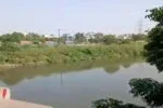 Haryana News: दोस्तों संग जन्मदिन की पार्टी बनी आखिरी याद, 20 वर्षीय क्रिश को चाकू घोंपकर उतारा मौत के घाट 3 1791050558 Haryana News पत्नी को फोन कर कहा नहर में कूदने जा रहा हूं 9747