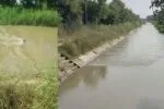 हरियाणाः बहादुरगढ़ में संदिग्ध हालात में मिले दो शव, महिला ने सूट पहना हुआ, पुरुष टीशर्ट और अंडरवियर में, पुलिस कर रही जांच 2 Bahadurgarh News 2026 10 7982f86831116b3c4658f6796ae88cbb 1200x675