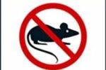 rat poison 1200x900