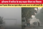 हरियाणा में बारिश के बाद बदला मौसम का मिजाज 4211